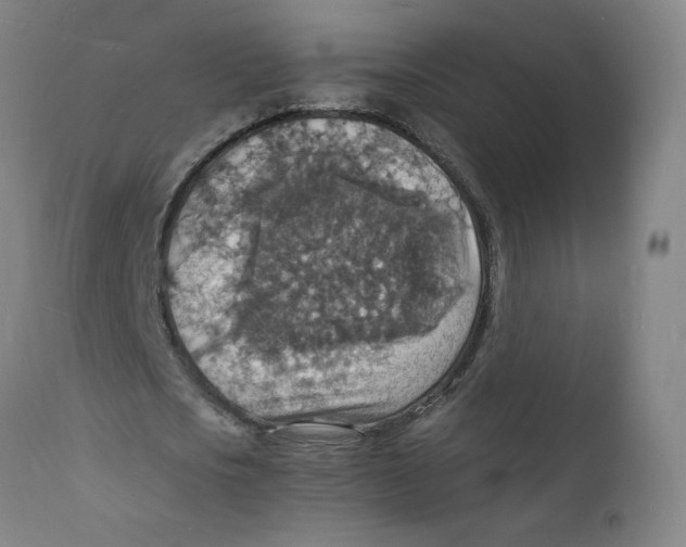 X0000112150721200909041103