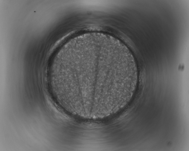 X0000112150722200909041103