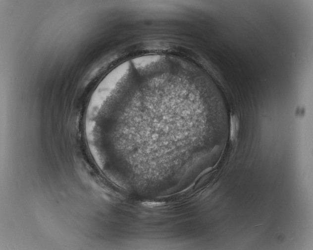 X0000112150723200909041103