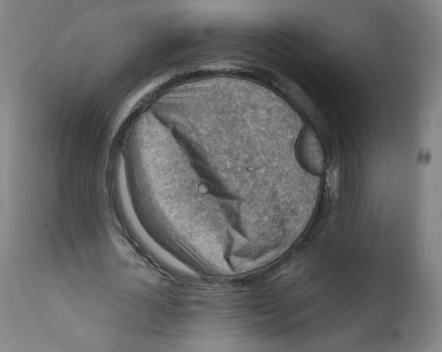 X0000112150724200909041103