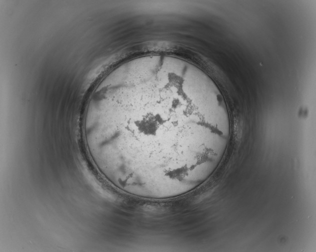 X0000112150725200909041103