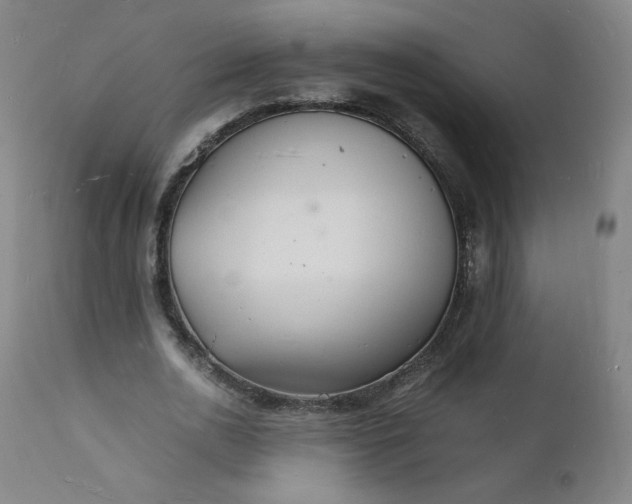 X0000112150726200909041103