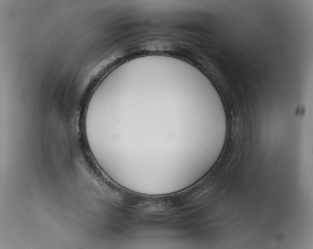 X0000112150727200909041103