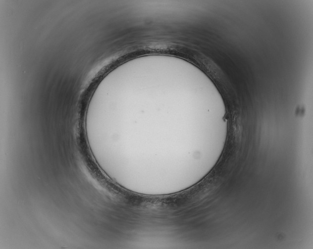 X0000112150728200909041103