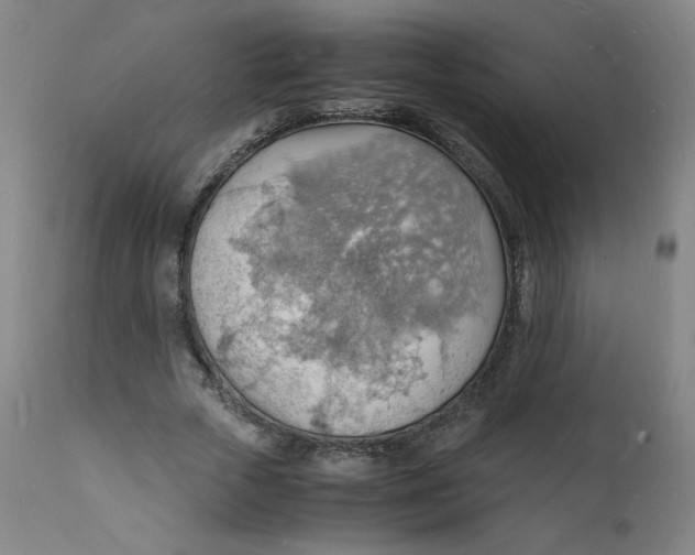 X0000112150729200909041103