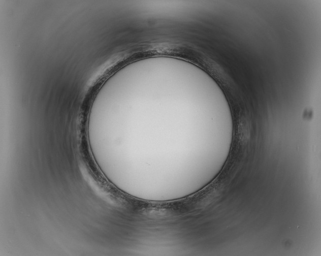 X0000112150730200909041103