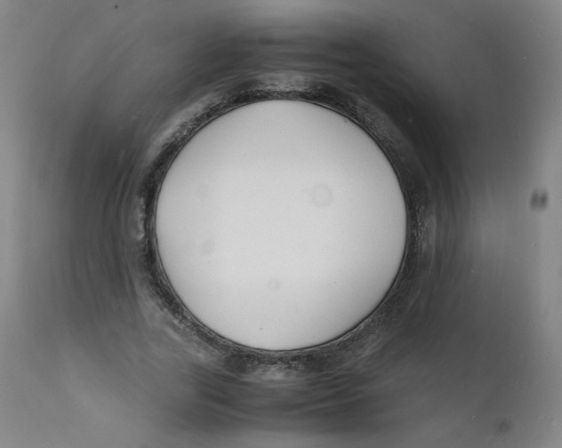 X0000112150731200909041103