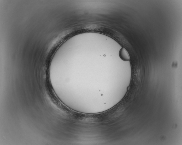 X0000112150734200909041103