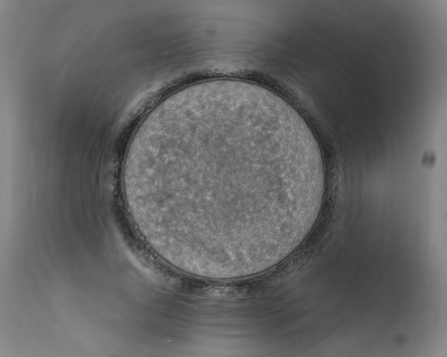 X0000112150736200909041103