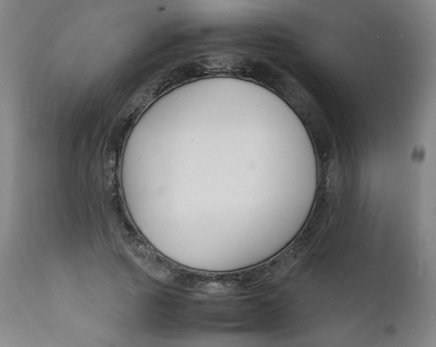 X0000112150737200909041103