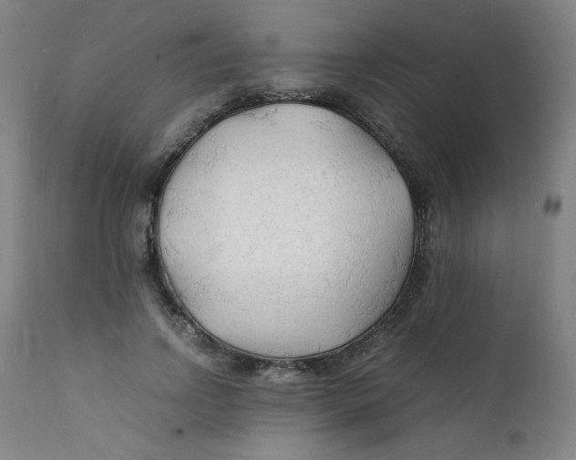 X0000112150742200909041103