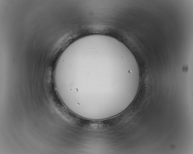 X0000112150744200909041103