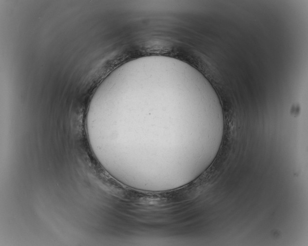 X0000112150745200909041103