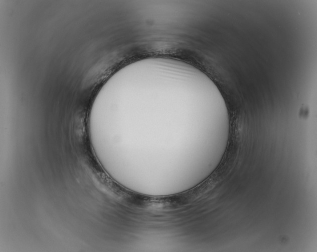 X0000112150746200909041103