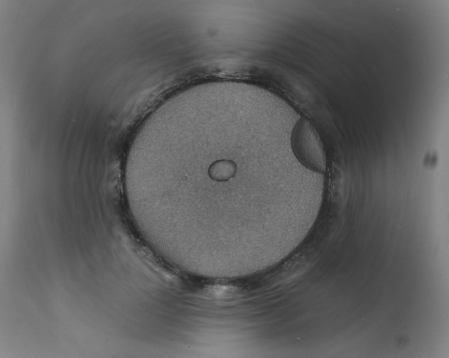 X0000112150748200909041103