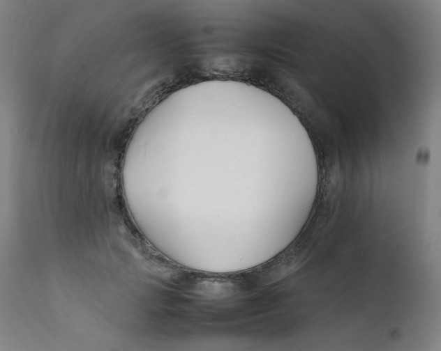 X0000112150749200909041103