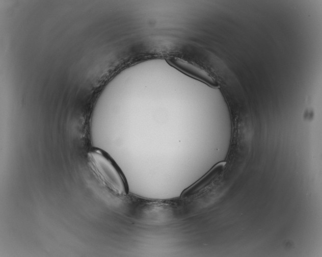 X0000112150750200909041103