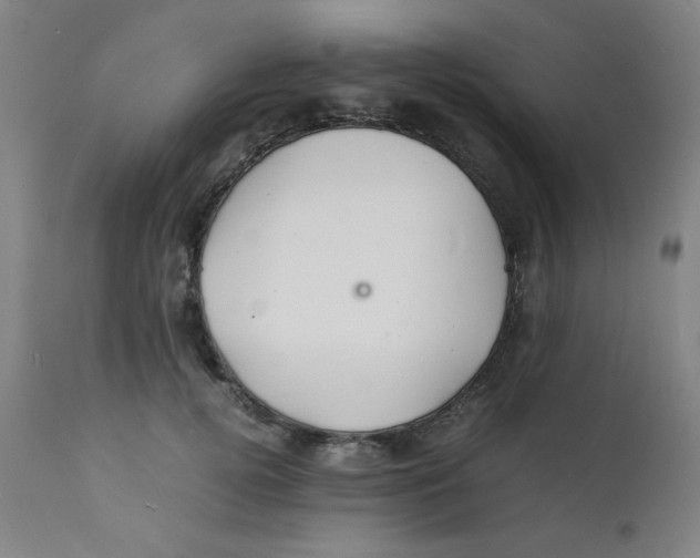 X0000112150752200909041103