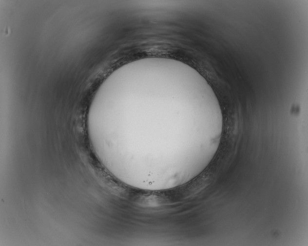 X0000112150755200909041103