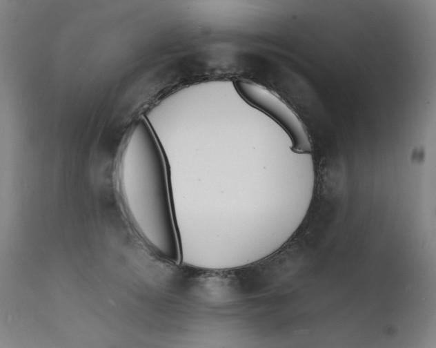 X0000112150756200909041103