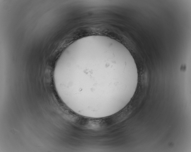 X0000112150757200909041103