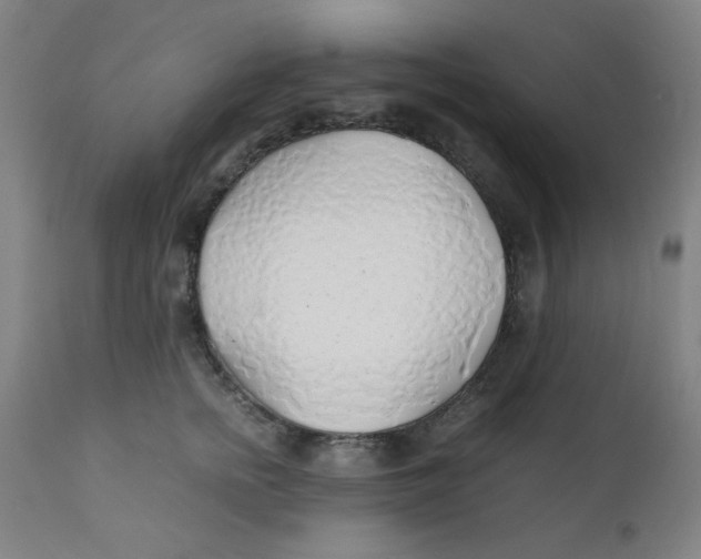 X0000112150758200909041103