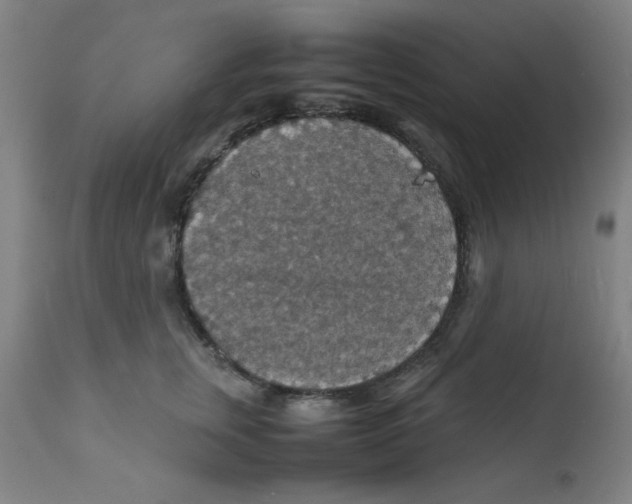 X0000112150759200909041103