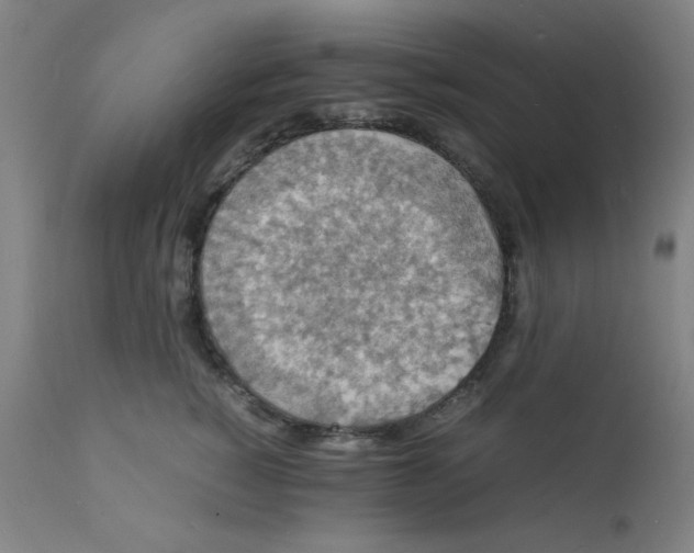 X0000112150760200909041103