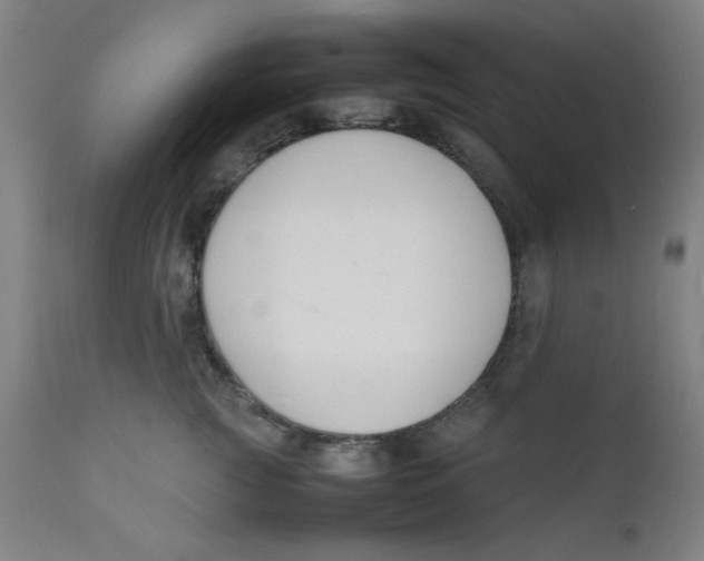 X0000112150761200909041103