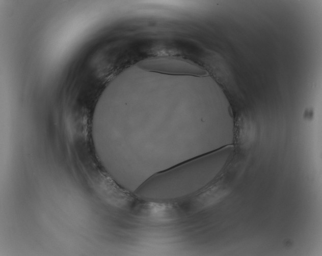 X0000112150762200909041103