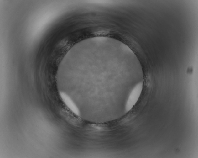 X0000112150763200909041103