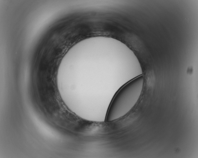 X0000112150764200909041103