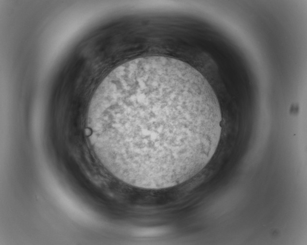 X0000112150765200909041103