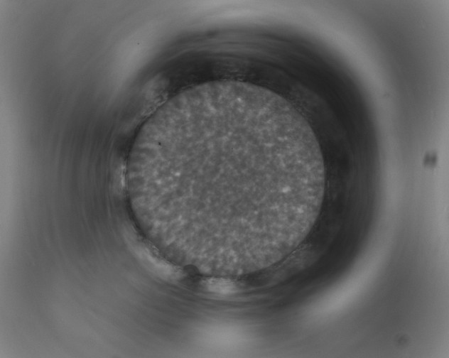 X0000112150766200909041103