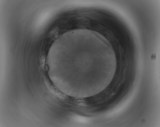 X0000112150767200909041103