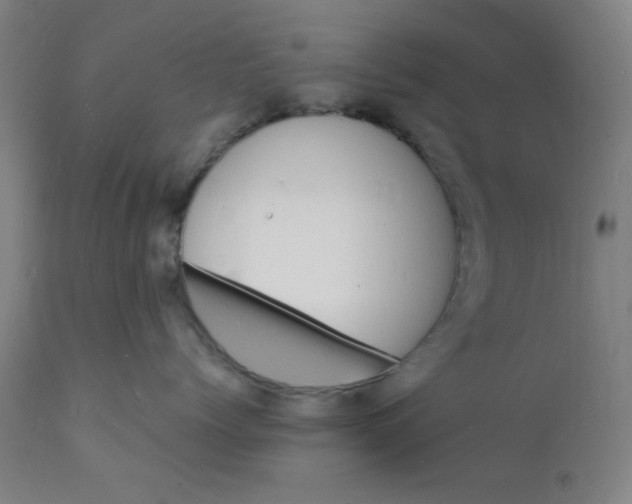 X0000112150768200909041103