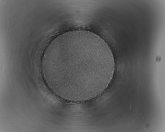 X0000112150769200909041103