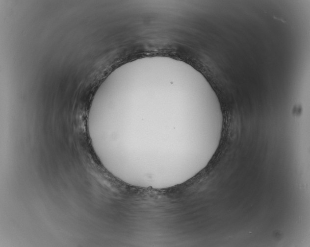 X0000112150770200909041103