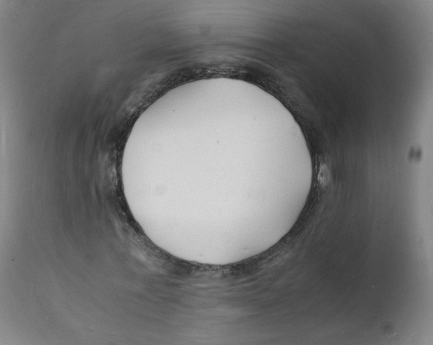 X0000112150771200909041103