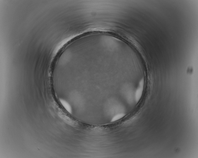 X0000112150779200909041102