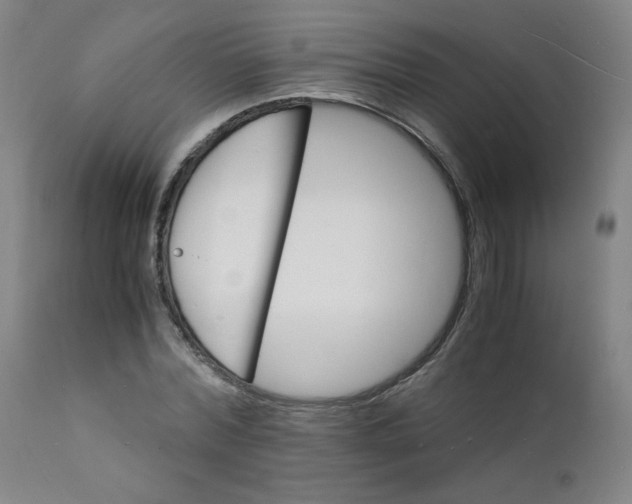 X0000112150780200909041102