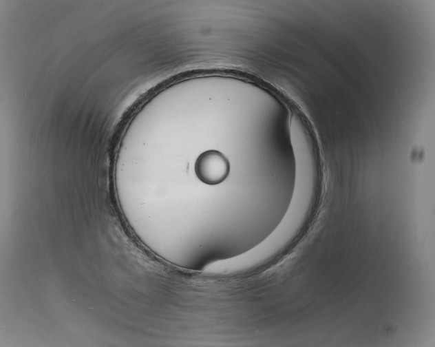 X0000112150781200909041102