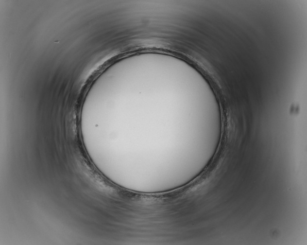 X0000112150782200909041102