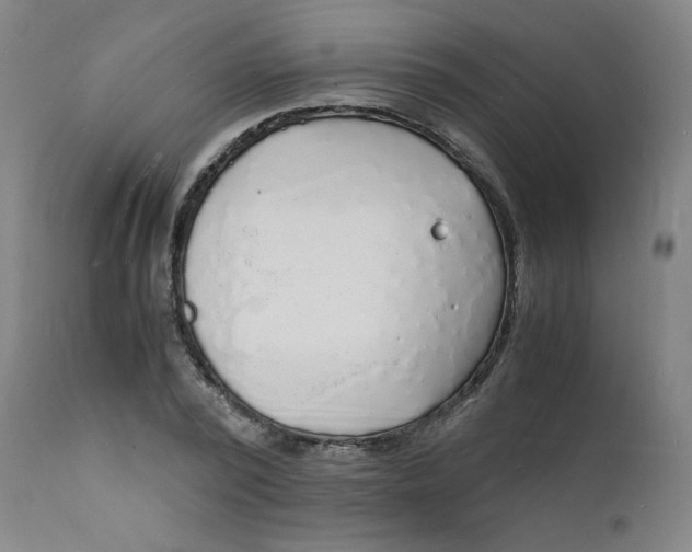 X0000112150784200909041102