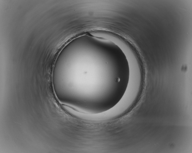 X0000112150785200909041102