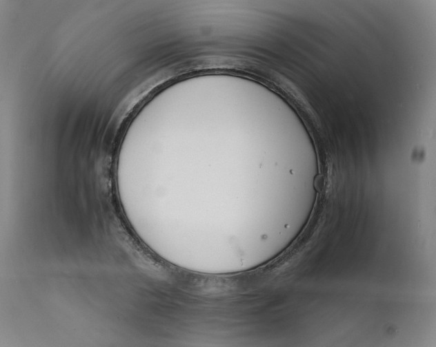 X0000112150786200909041102