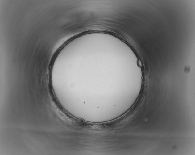 X0000112150787200909041102