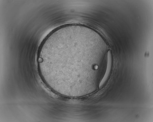 X0000112150788200909041102