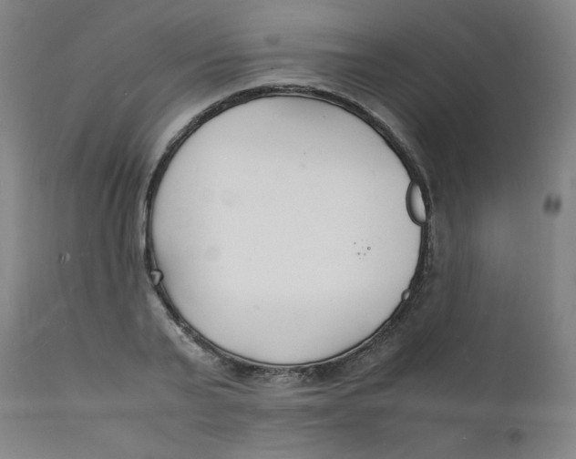 X0000112150791200909041102