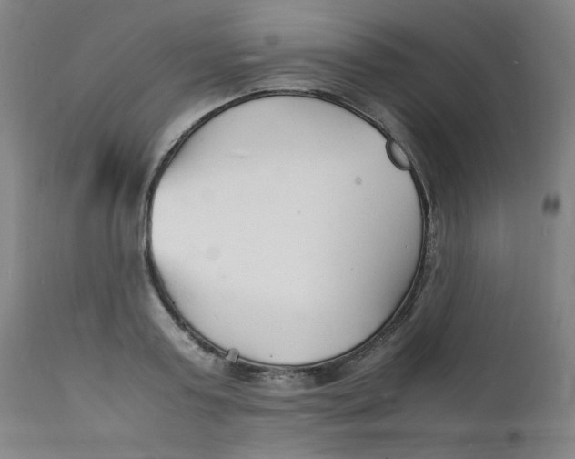 X0000112150795200909041102